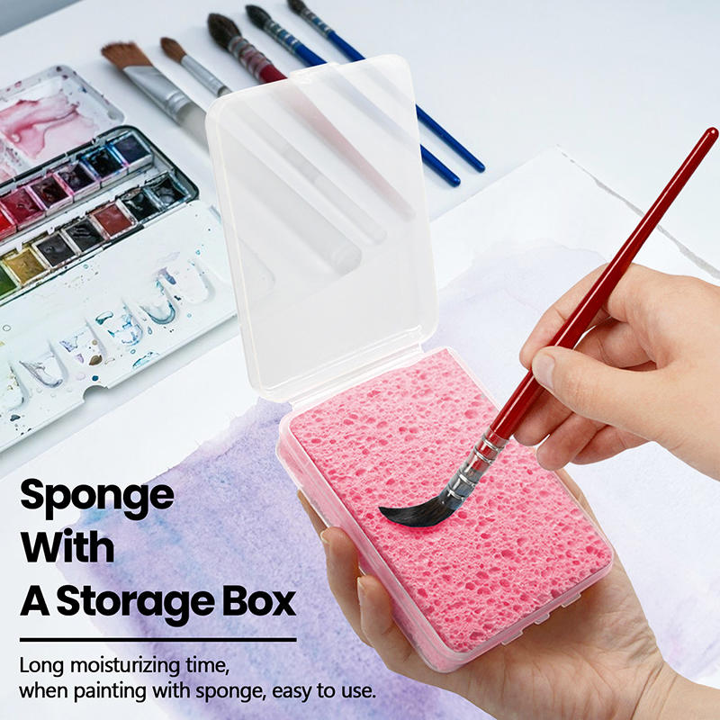Spons Pembersih Lukisan Pigmen - Eco Sponge ulasan dan harga